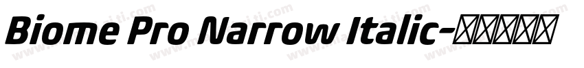 Biome Pro Narrow Italic字体转换